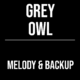 Grey Owl