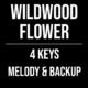 Wildwood Flower in 4 Keys