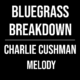 Bluegrass Breakdown – Charlie Cushman