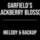 Garfield’s Blackberry Blossom