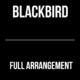 Blackbird
