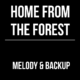 Home From The Forest