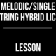 Hybrid Melodic/Single String Lick