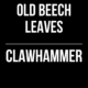 Old Beech Leaves // Clawhammer
